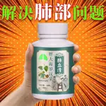 臺灣發貨 ✨【睡前一粒預防】清肺 養肺 潤肺 羅漢果 琵琶 胖大海 肺立清 洗肺 清肺180片EL