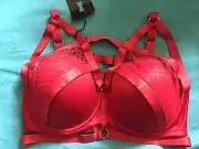 BRAS N THINGS AUTHENTIC PLAYBOY ROWAN BRA SIZES 10E