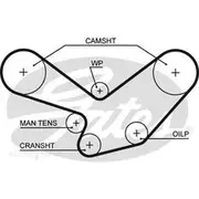 Gates Timing Belt - T109