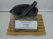 Ginkgo - Herb Spell supplies Herb Magick Ritual Witch Pagan Wicca