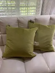 2 Canaan Company NWT 95% Feathers/5% Down Pillows