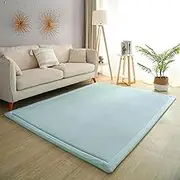 Kid's Coral Velvet Play Mat Area Rugs, Thick Carpet Crawling Mat Modern Soft Area Rug for Nursery Baby Toddler Children Kids Room, Yoga Mat Exercise Pads (Blue, 80x200cm)