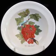 POMONA by Portmeirion Cereal Bowl Red Currant 6.75" NEW NEVER USED made England