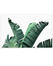iCanvas Banana Leaves Print on Acrylic Glass by Sisi & Seb