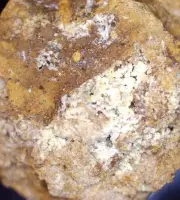 Apatite - Moculta Quarry, Kapunda, S.A. Micromount Mineral #BF0320