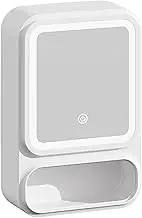 Bathroom Vanity Mirror Cabinet - Bathroom Vanity Mirror with Storage | Storage Organizer with LED Lights, Magnetic Door Tissue Dispenser, Modern Decor for Shampoo Makeup