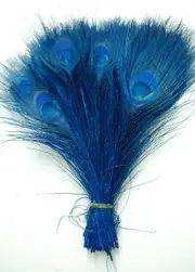 25 Pcs BLEACHED PEACOCK TAILS - TURQUOISE Feathers 10-12" Bridal/Halloween/Hats