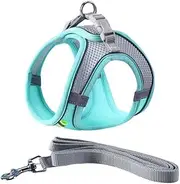 AIMALL Adjustable Pet Harness with Leash Reflective Soft Mesh Vest for Small Dogs Cats Puppies – Breathable No-Pull Walking Collar Set XXS–L (9.4in–23.2in Chest)
