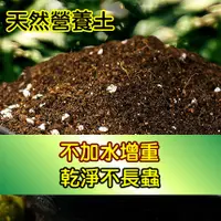 在飛比找蝦皮購物優惠-【全館590免運】通用配方天然營養土 栽培土 泥炭培養土 無