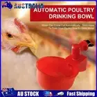 Poultry Watering Feeder Drinking Bowl for Chickens Ducks Gooses Birds Quails AU