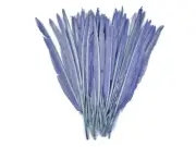 1/4 Lb Robin Egg Blue Goose Pointers Long Primary Wing Wholesale Feather Costume