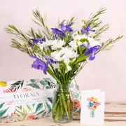 The Iris Posy
