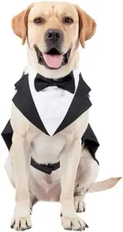 Dogs Tuxedo Wedding Party Suit, Dog Prince Wedding Bow Tie Shirt Formal Dog W...