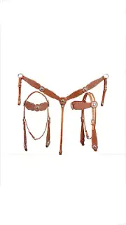 Western Natural Leather Set of Headstall and Breast collar with spots & conchos