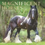 BrownTrout, Magnificent Horses Plato 2025 Wall Calendar