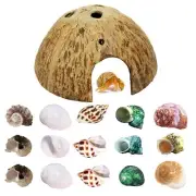 Hermit Crab Shells Natural Coconut Shell Nut for Tank Habitat Reptile Hideouts