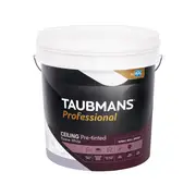Taubmans Professional 15L Builders White Ceiling Paint