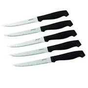 Laser Steak Knife Box, 6 Piece, Kitchen Knife Set