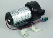 Clarke 56111387 - Pump Assemblyembly 12Vdc 60Psi