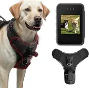 BEISLUO HD 1080P Dog Harness Recorder for Outdoor
