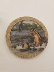 ThirstyStone Coasters, Trout. Natural Solid Sandstone. Box Of 4.