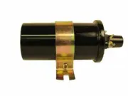 Ignition Coil For 1959-1961 Jaguar Mark IX 1960 K161YR (for: Jaguar)