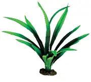 30cm Large African Onion Aquarium Plant Silk For Fish Tanks And Aquariums by Aqua One