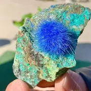 92G Indian dandelion zeolite Quartz Crystal Cluster Mineral Specimen