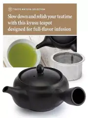 Teapot Kyusu Infuser Black Ceramic Handmade 10.1 floz w How to Tea Video, Manual