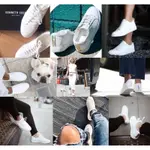紐約 KENNETH COLE 專櫃夯款🔥 KAM系列 牛皮真皮小白鞋