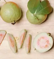 Guava and Pink Grapefruit Fragrance Oil