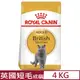 ROYAL CANIN法國皇家-英國短毛成貓 BS34 4KG