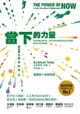 【電子書】當下的力量（三版）：通往靈性開悟的指引