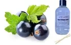 BLACKCURRANT & PLUM - Reed Diffuser Refill