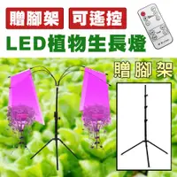 在飛比找松果購物優惠-【贈腳架】【ROWA樂華】LED植物生長燈 植物燈 生長燈 