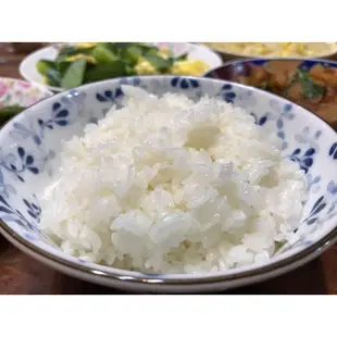 花東優質好米～小諾米-白米1公斤裝（台稉16號）/花蓮米/吉安米