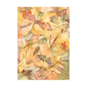 Stamperia Assorted Rice Paper Backgrounds A6 8/Sheets-Woodland