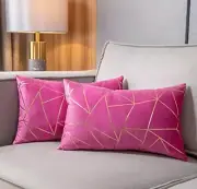 Pack of 2 Soft Velvet Lumbar Throw Pillow 20" x 12" (Pack of 2) Super Pink