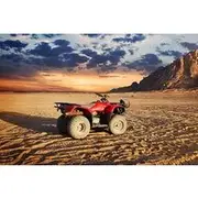 Save 4.99%! 3 Hours Quad Bike with Camel Ride From Sharm El-Sheikh
