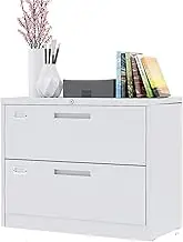 Locking Metal Rolling File Cabinet 2 Drawer Mobile Filing Cabinet Under Desk Anti-Tilt Wide File Cabinet Office Storage Solution