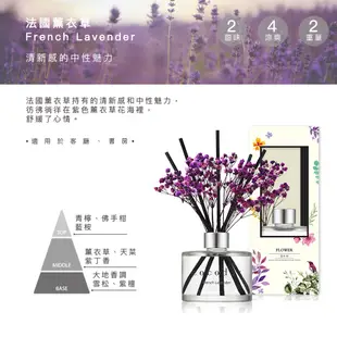 【cocodor】永生花擴香瓶200ml - 多種香味選擇 韓國官方直營