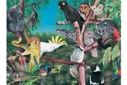 Wild Australia - 300 Piece Jigsaw Puzzle (In The Treetops)