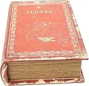 Ciieeo Retro Book Shaped Box Openable Decorative Vintage Storage Case Stylish Antique Accessory Organizer for Desktop Decor Elegant Faux Book Design for Home Office