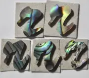 5 Letters of Lowercase R in Paua Abalone 9.4mm x 8.9mm x 1.5mm thickness