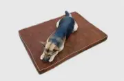 Buy 2 Discount Durable Suede Waterproof Orthopedic MEMORY FOAM Dog Bed Pad XL
