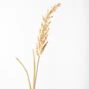 Artificial Astilbe Spray Grass Flower Stem - Coffee