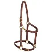 Weaver Leather Weaver Track Halter Horse