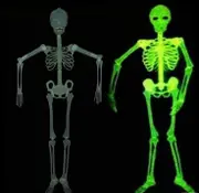 90cm Glow in The Dark Skeleton Halloween Plastic Hanging Scary Spooky Decoration - White - One-Size