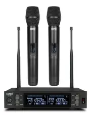 Dual Wireless Microphone System - Metal Handheld Mics & Receiver, Adjustable ...