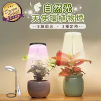 在飛比找ETMall東森購物網優惠-【DREAMSELECT】天使環植物燈 (自然光/紫光) 植